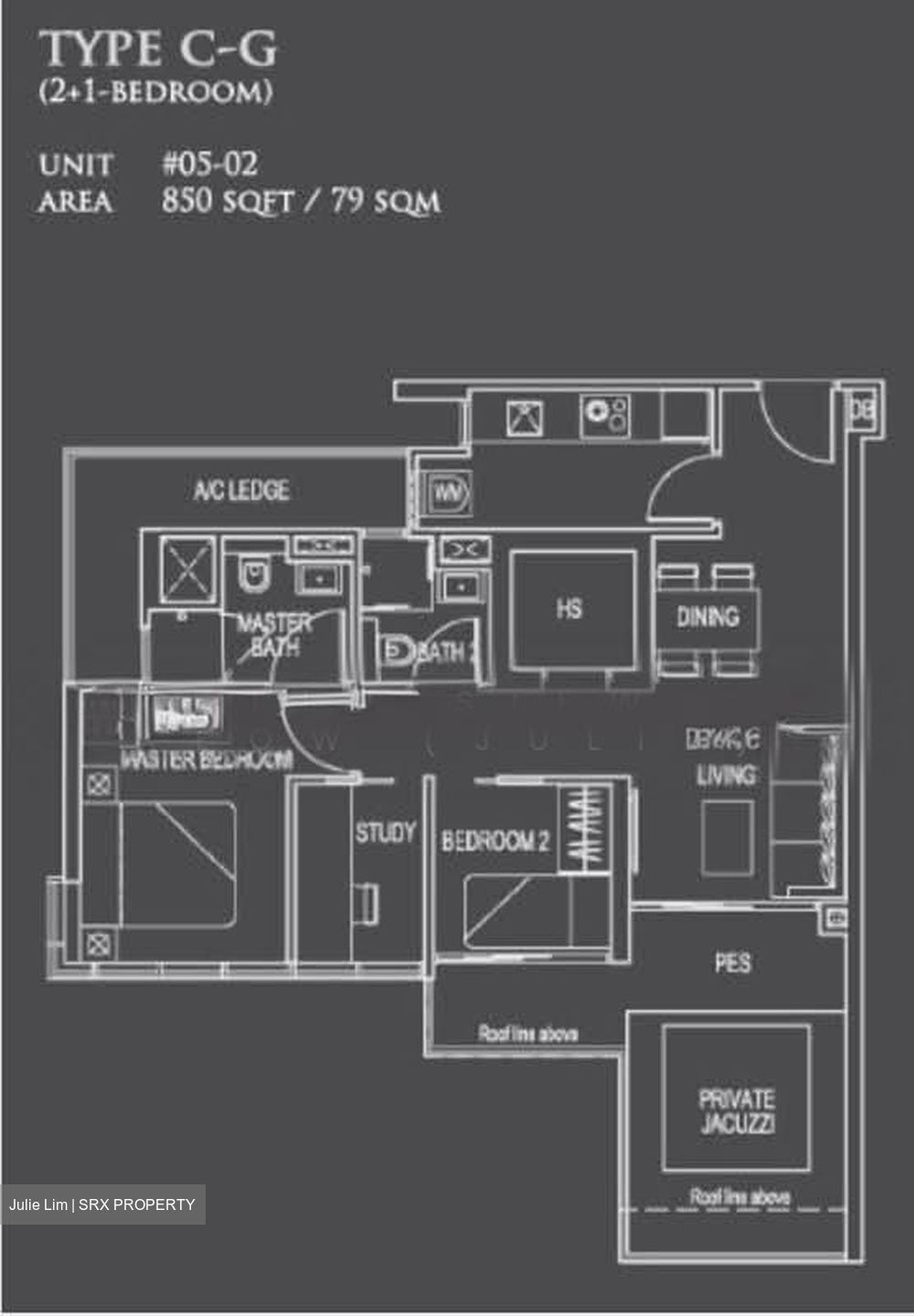 26 Newton (D11), Apartment #526846481